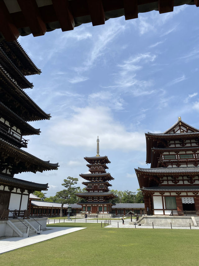 水稻田間，遙看藥師寺