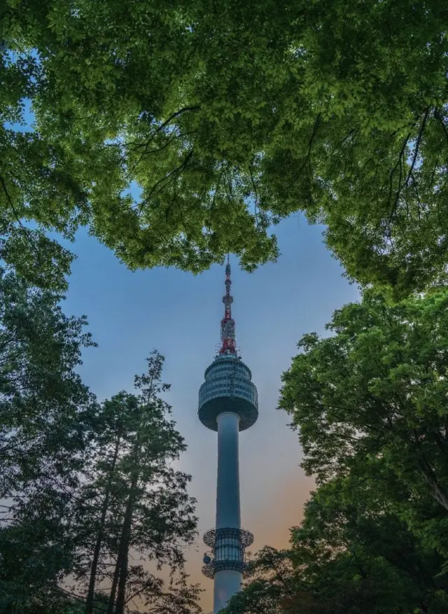 Seoul Tower: The perfect guide to the charm of Seoul
