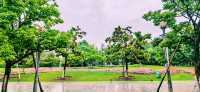 閔行文化公園｜梅雨瀟瀟瀝瀝，公園鬱鬱蔥蔥
