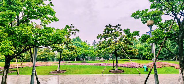 閔行文化公園｜梅雨瀟瀟瀝瀝，公園鬱鬱蔥蔥