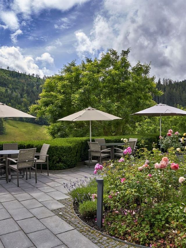 🌟✈️ Baiersbronn Bliss: Top Hotel Pick! 🏨🌲