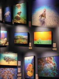 廣州看展，中國國家地理•探索 極致發現科學藝術影像展攻略