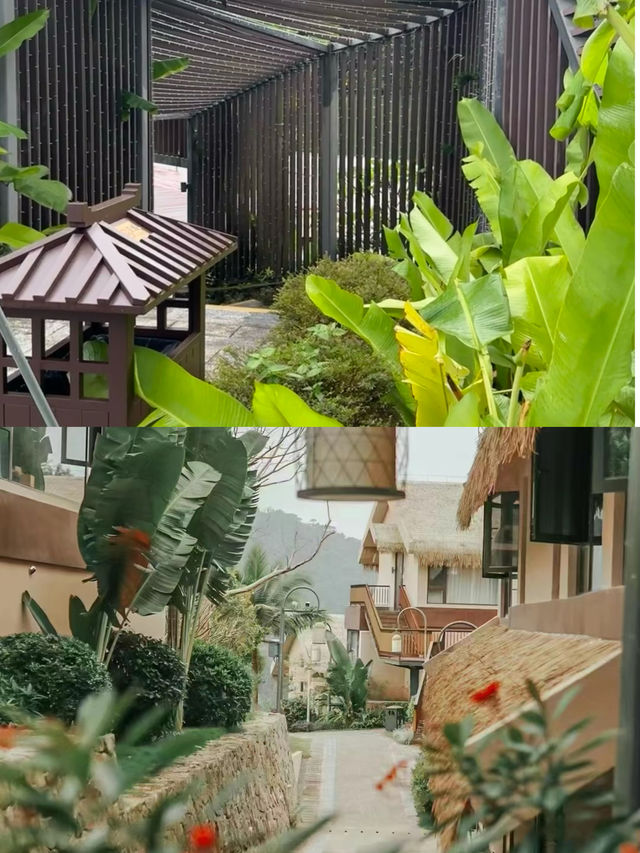 雨林真的適合度假在三亞生活的日子