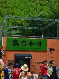 夏天就是要泡在水里安吉山步石溯溪