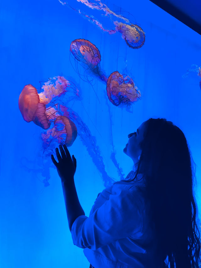 Shanghai Ocean Aquarium: Underwater Wonders