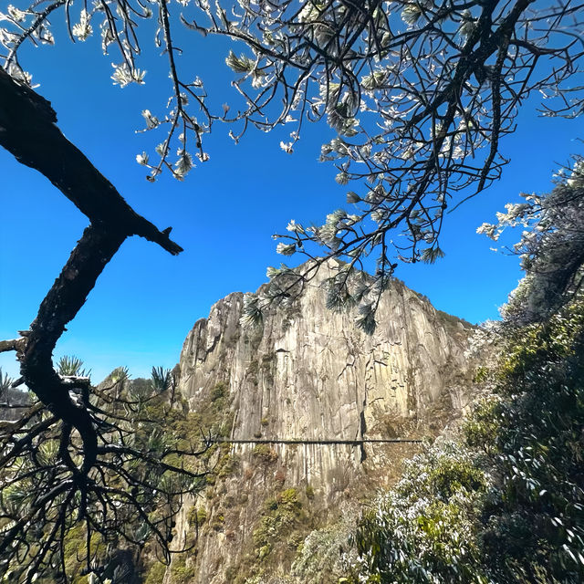 【江西】遊覽羊獅慕，雲海山頂一覽無遺