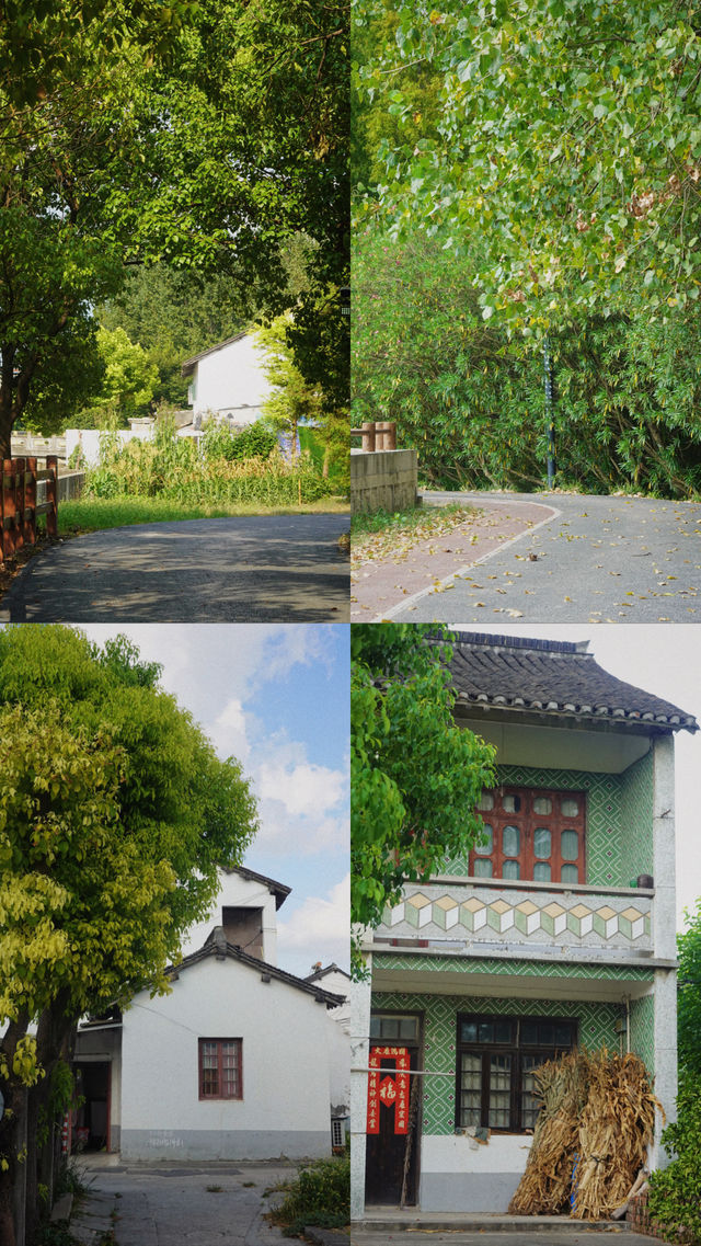 這真不是日本！是上海浦江郊野公園