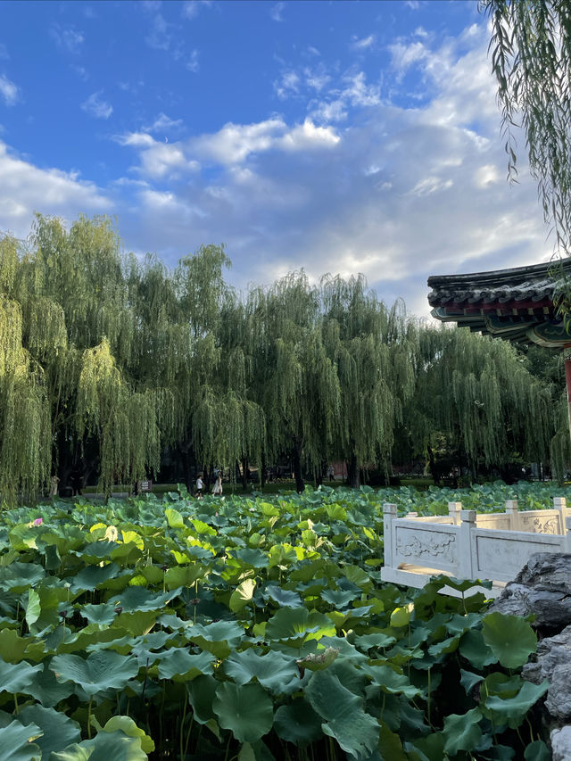 北京CBD免費市民公園