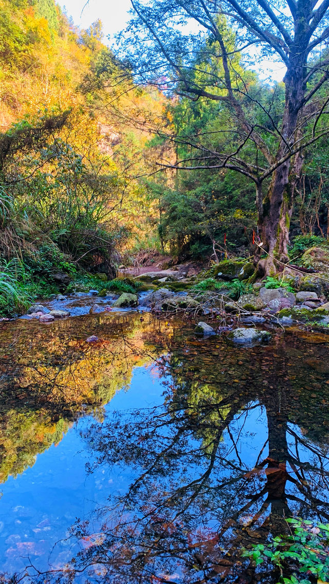 寧波周邊｜仙居公盂村徒步，有山有水有竹林