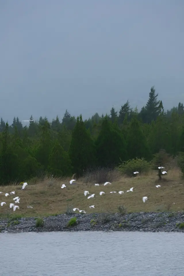 Horse Riding in Lijiang, Yuhu Village Longnv Lake is much better than Lashihai