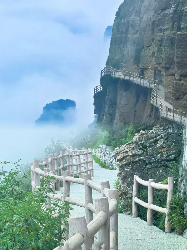 每週一山，此週探秘白石山