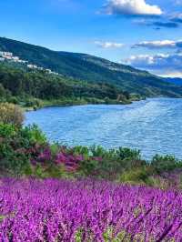 🌈【Kunming One-Day Tour Top Secret Guide】Relax and enjoy your time by the Yangzonghai Lake✨