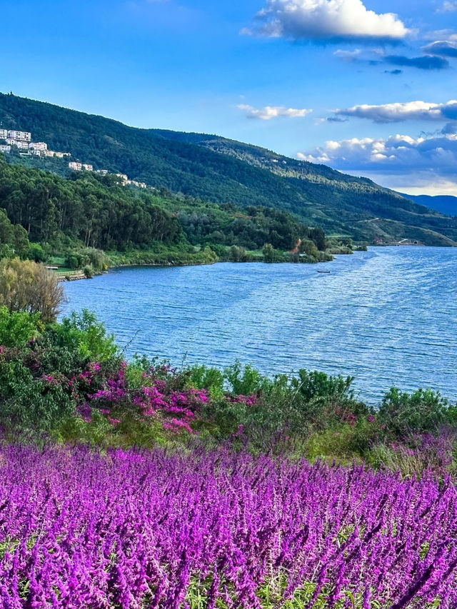 🌈【Kunming One-Day Tour Top Secret Guide】Relax and enjoy your time by the Yangzonghai Lake✨