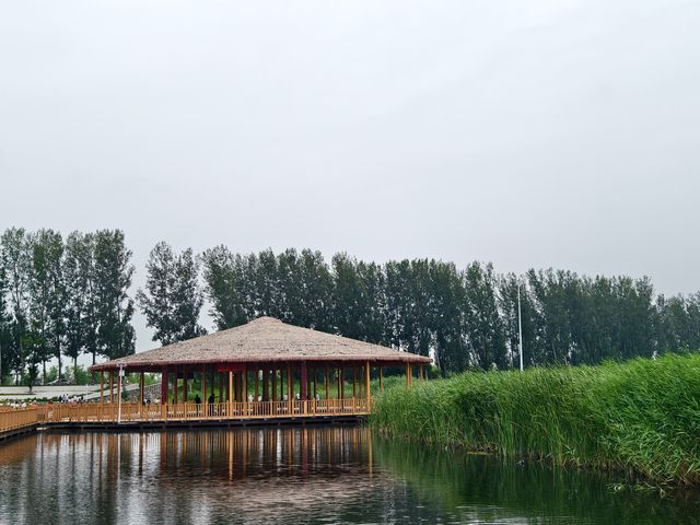 白洋淀十里長廊（河北省保定市，5A級景區）。