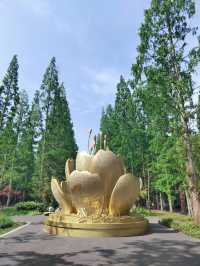 遠離城市喧囂 盡享天然氧吧。