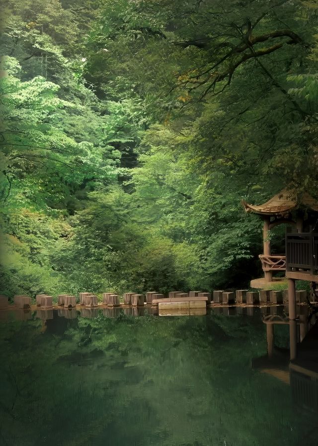 斗篷山｜距離城市最近的原始林區之一。