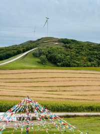 追風百里天路 踏入秋日秘境。