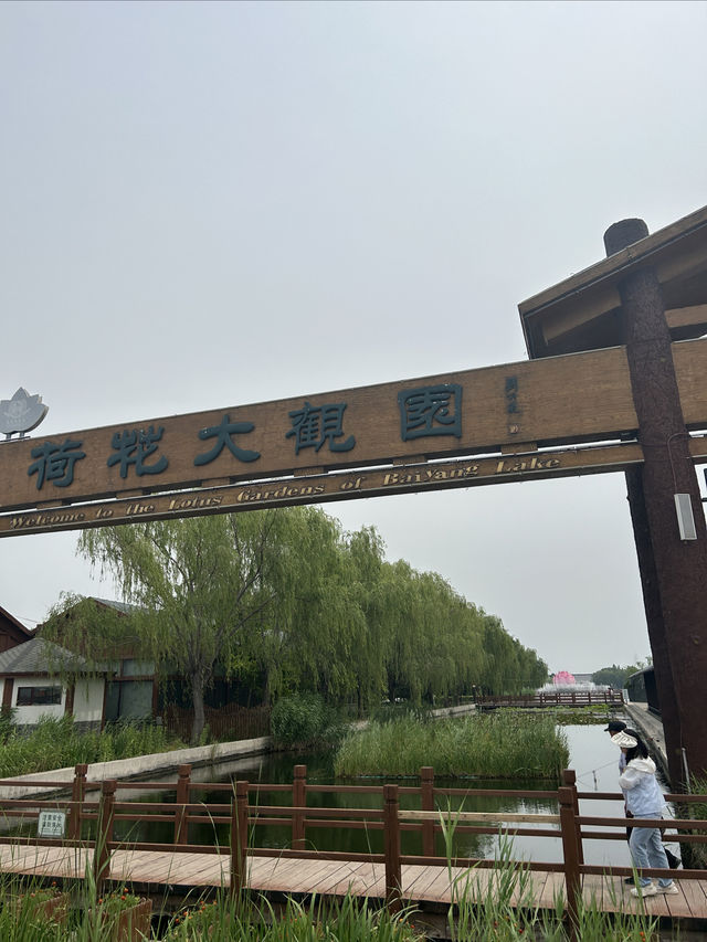 白洋淀風景區、冉莊地道戰遺址及紀念館旅遊攻略。