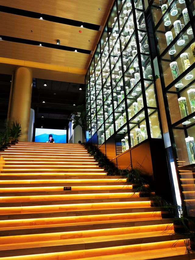 中國關藥博物館。 中國關藥博物館。