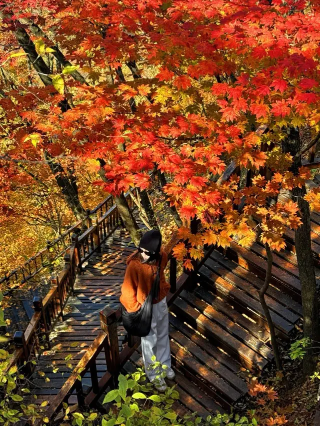 Benxi | Laobian Valley.