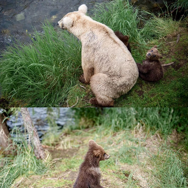 Travel to Alaska such an amazing trip