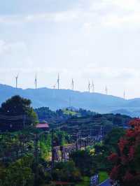 是採石場，也是琥珀湖。