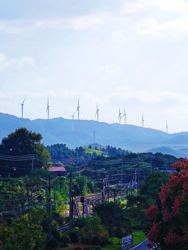 是採石場，也是琥珀湖。