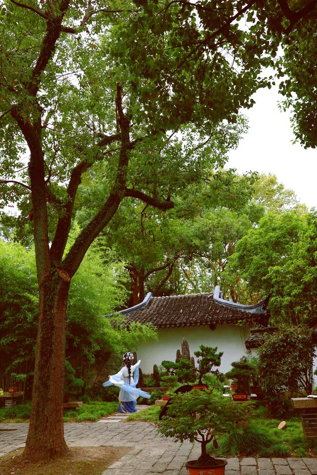 又到了醉白池最美的季節。 又到了醉白池最美的季節。