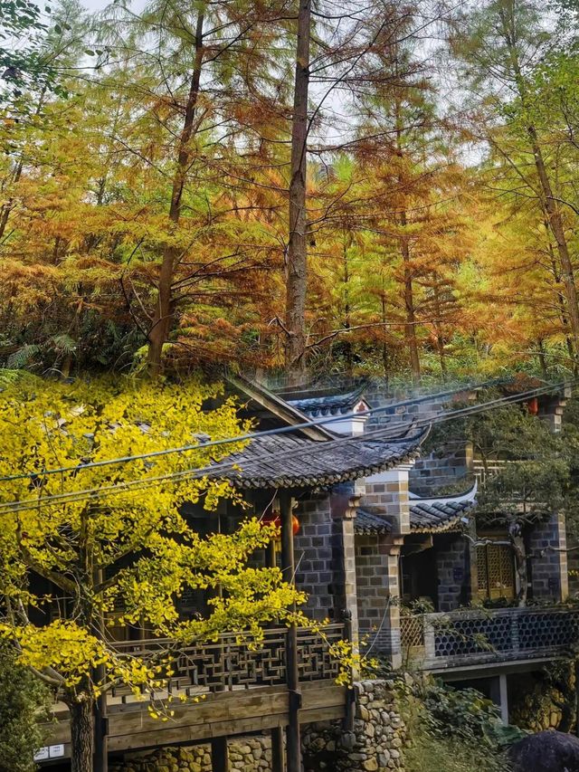 想開啟雲髻山秋日浪漫之旅的，請提前看好這篇攻略！。