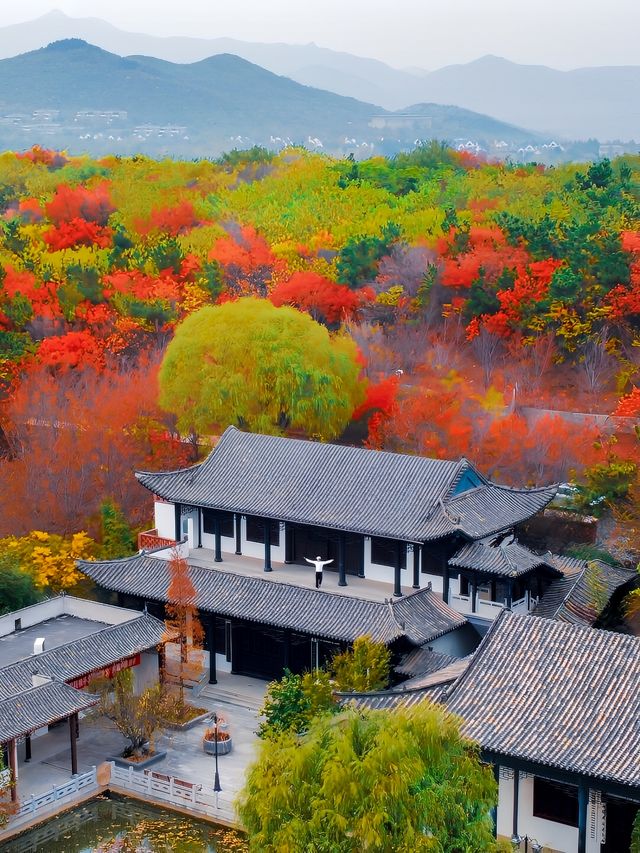【山東高鐵站旁的隱秘賞秋地】。