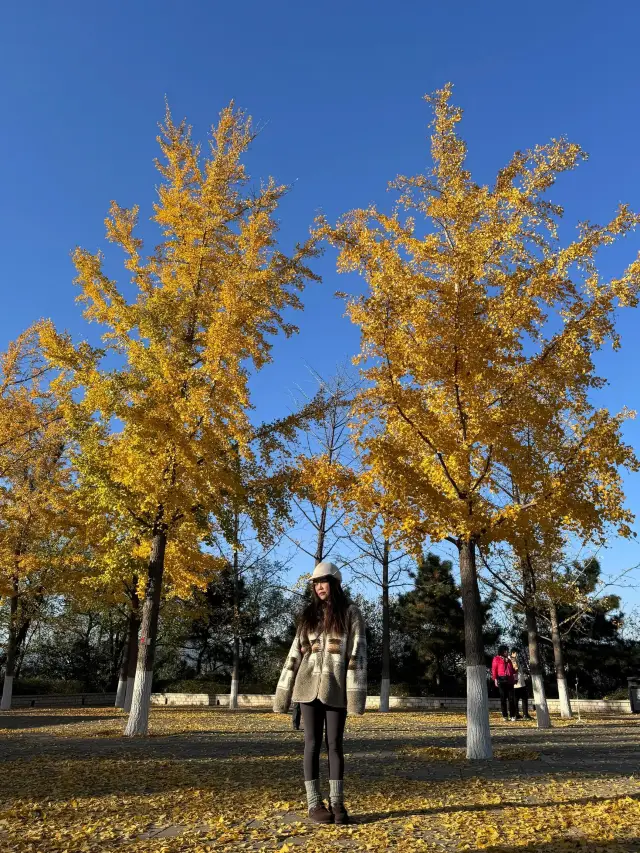 สวนพฤกษศาสตร์ปักกิ่ง