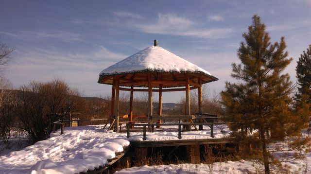 中國最北丨坐上通往雪國的列車去漠河。