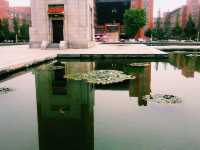 Mesmerising Park of Zhengzhou University