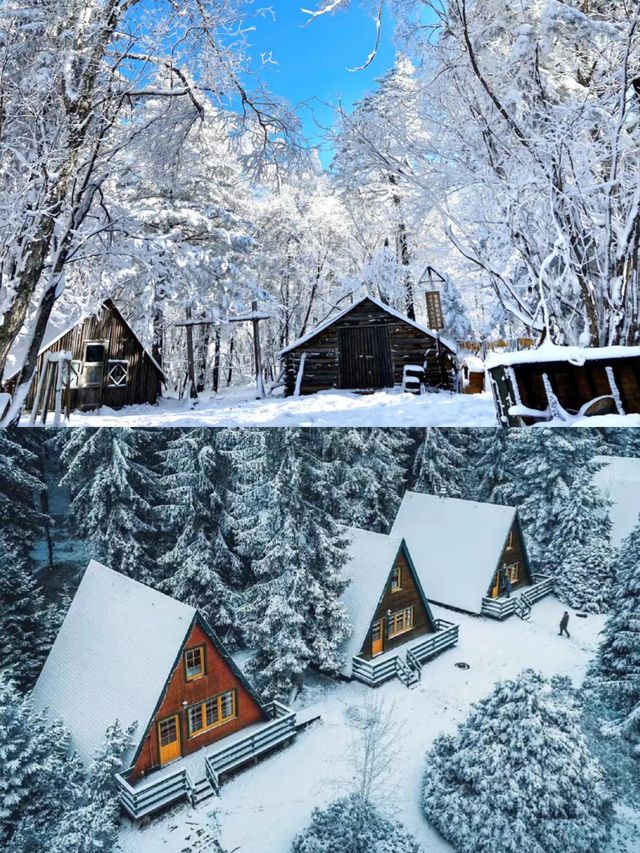 長白山看雪不來長白山會後悔！。