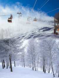滑雪新手變身冰雪奇緣女主的奇幻之旅。