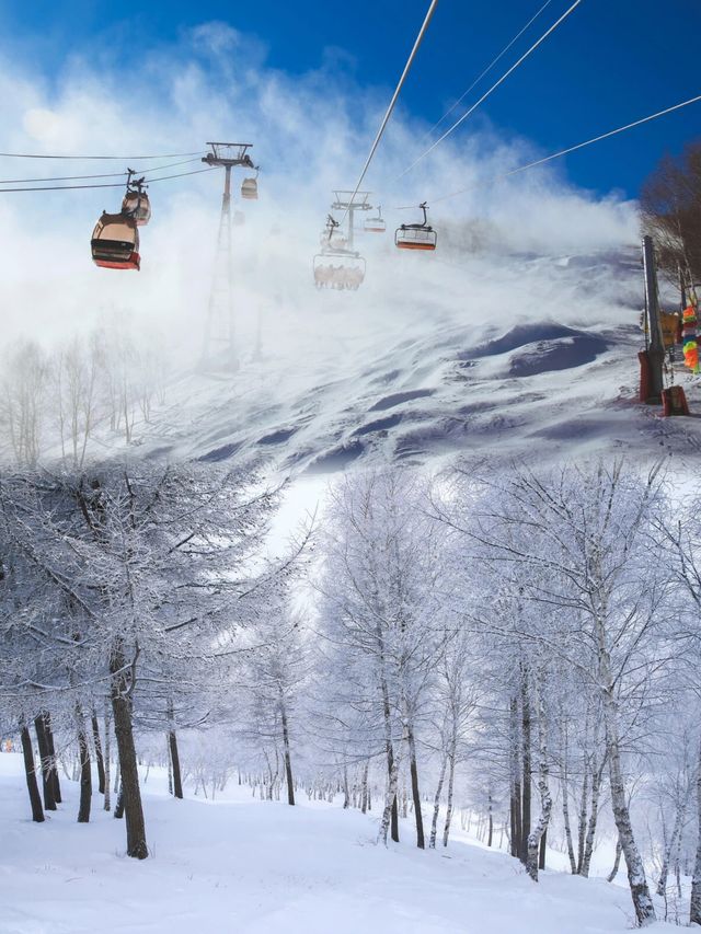 滑雪新手變身冰雪奇緣女主的奇幻之旅。