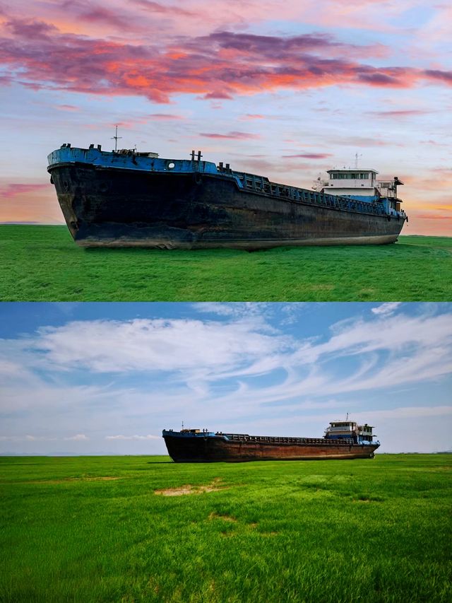 追尋候鳥蹤跡：看鄱陽湖的美麗與壯觀。