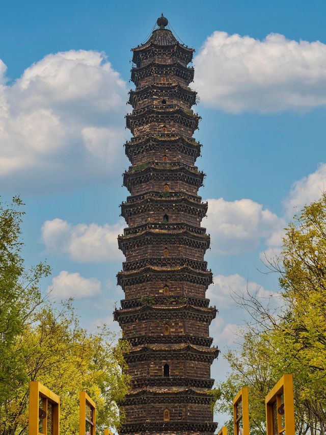 秋遊開封-濟源-洛陽3天行程超驚艷別錯過。