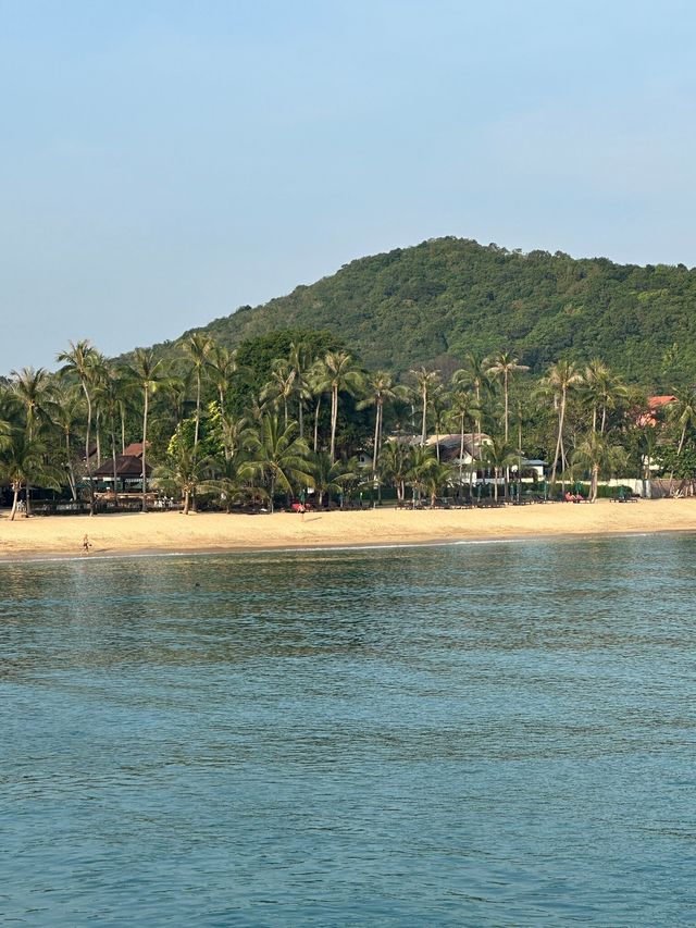 湄南|椰樹棕櫚海灘度假村，寧靜避風港。