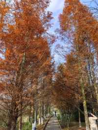 蔓筑酒店周邊遊之觀山湖公園。