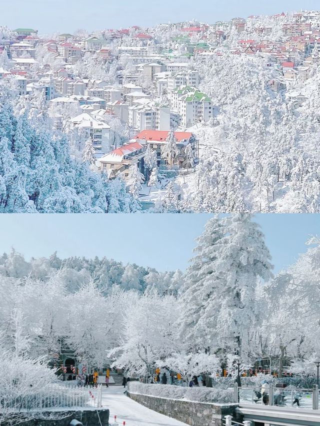 廣東也能看到雪，不是親眼目睹都不相信