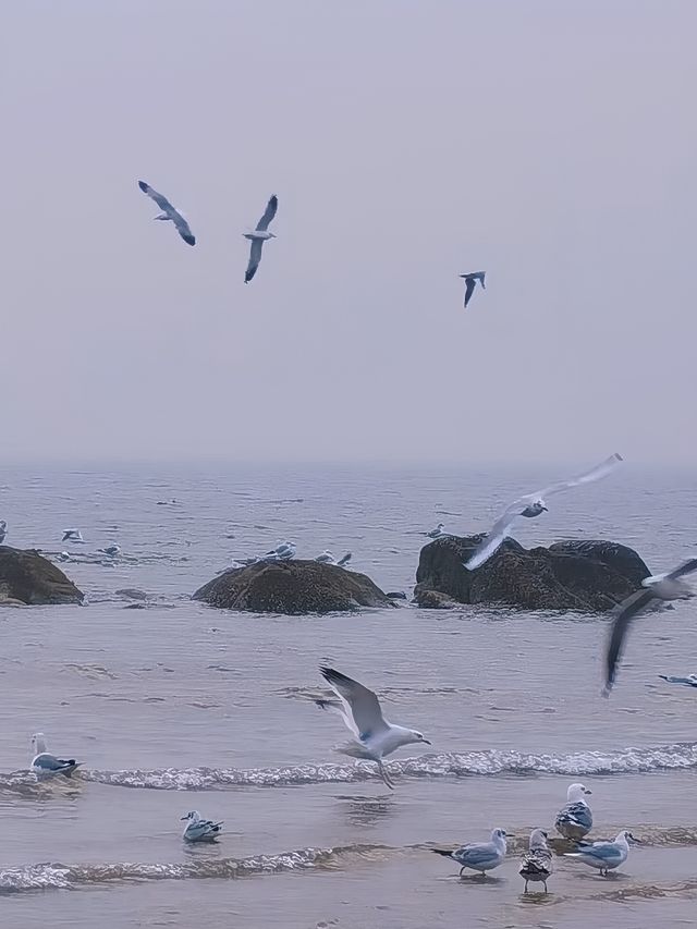 12月從北京出發到秦皇島看一次冰海。