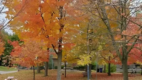 Waterloo | Natural Ecology and Outdoor Paradise — traveler post in Waterloo