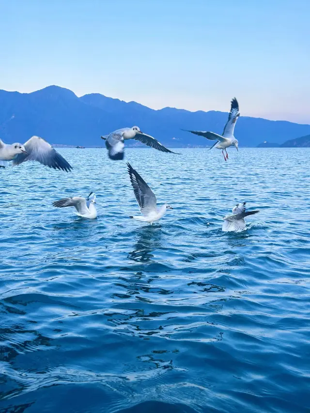 5-Day Hot Spring Trip in Panzhihua: A Great Place to Relax and Unwind