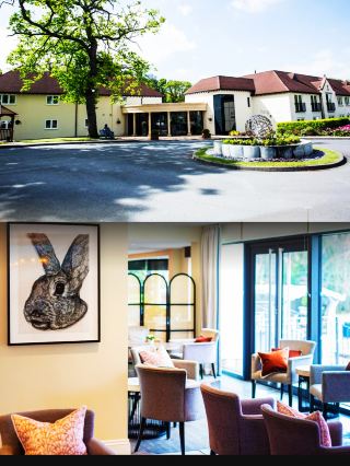 A must-stay hotel in Solihull for a unique experience!