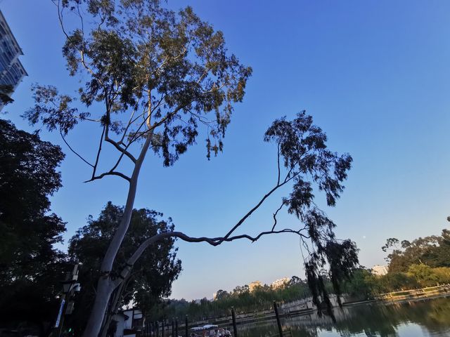 這個冬天來福州西湖逛吃逛吃吧
