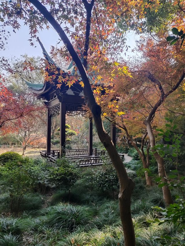 【城市漫遊】探索天山公園的無盡魅力