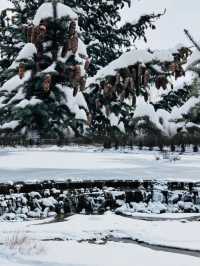 坐上秦嶺小火車，向冰雪國度進發咯