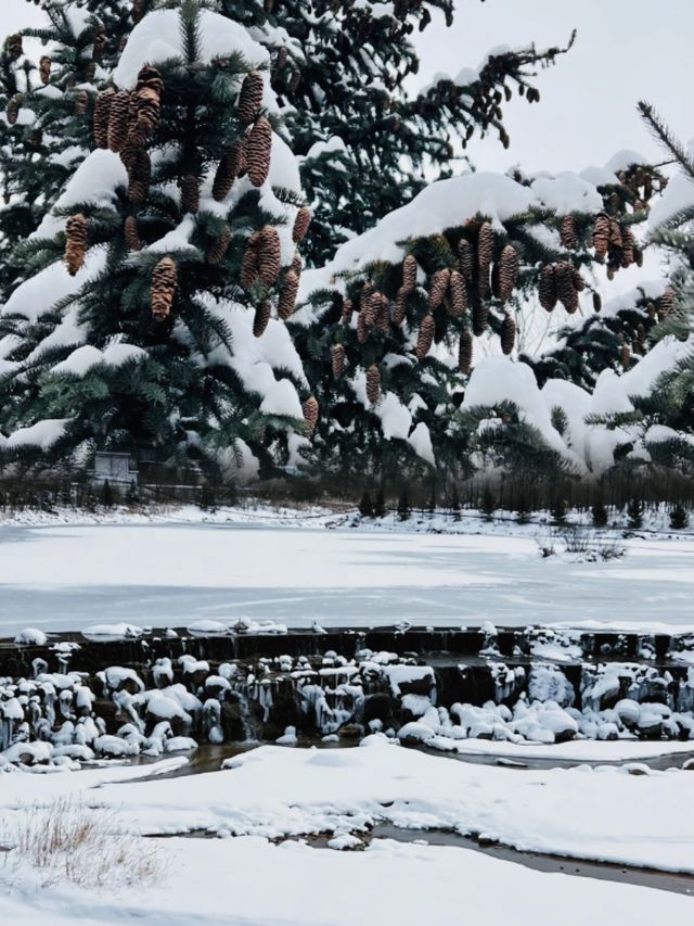 坐上秦嶺小火車，向冰雪國度進發咯