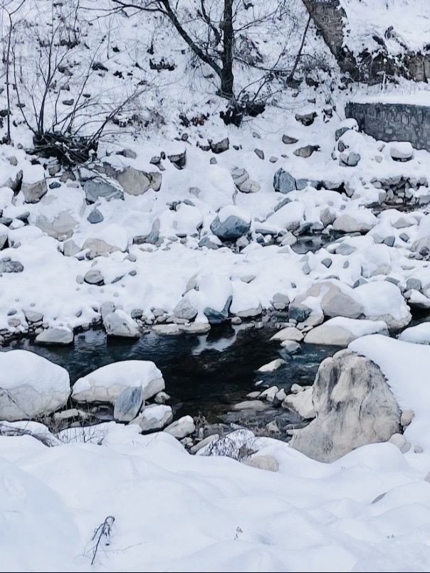 坐上秦嶺小火車，向冰雪國度進發咯